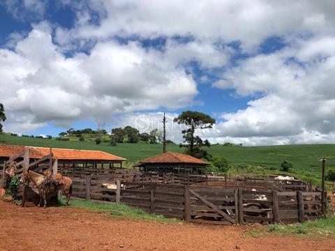 Fazenda à venda em Faxinal, Zona Rural, com 1 quarto, com 9196000 m²