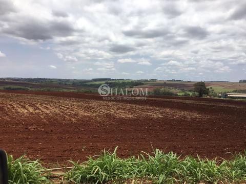 Sítio à venda em Maringá, Maringá