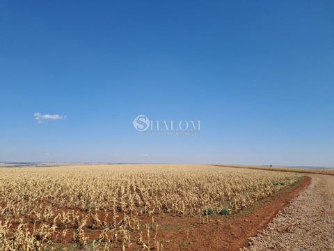 Sítio à venda em Iguaraçu, Centro