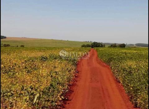 Sítio à venda em Maringá, Distrito de Floriano (Floriano), com 1 quarto, com 6 alqueires